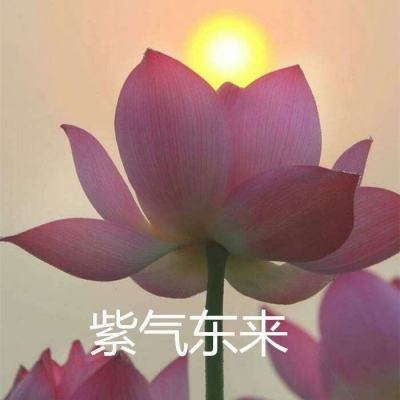 盗墓ol变态版无限金条下载